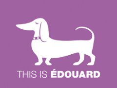 Tableau basset hound 