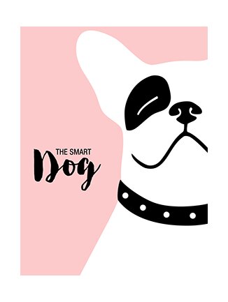 Tableau cuisine rose Smarty