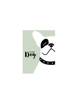 Tableau bouledogue pop vert Smarty